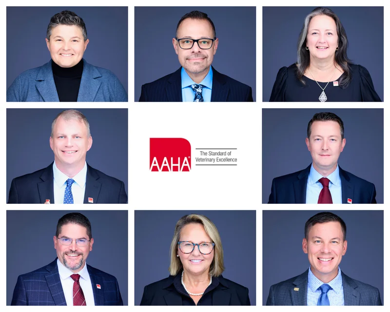 AAHA veterinary conference executive headshots Northwest Arkansas
