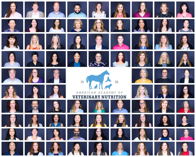 AAVN veterinary association corporate headshots Northwest Arkansas