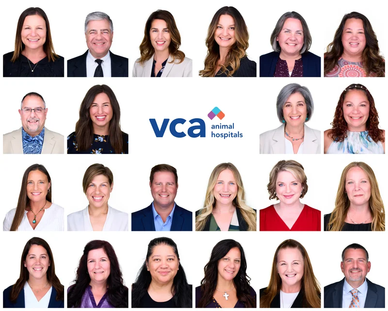 VCA animal hospital veterinary team headshots Northwest Arkansas